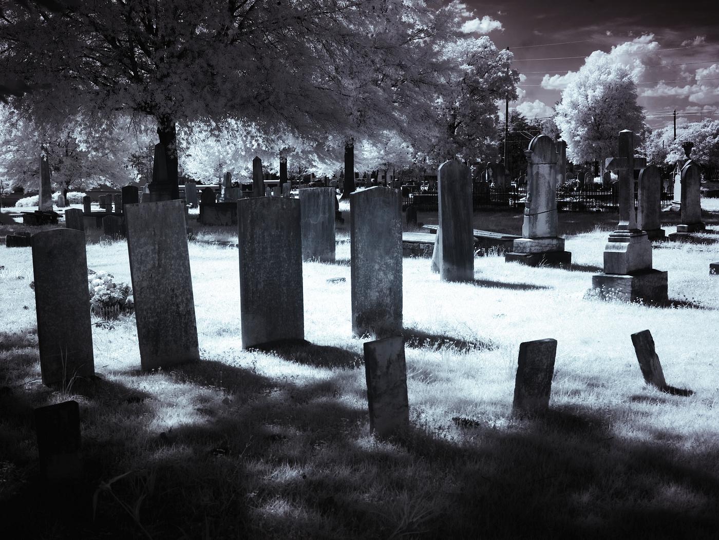 Greenwood Cemetery in Tuscaloosa, Alabama. Original image from Carol M. Highsmith’s America, Library of Congress... Greenwood Cemetery in Tuscaloosa, Alabama. Original image from Carol M. Highsmith’s America, Library of Congress...