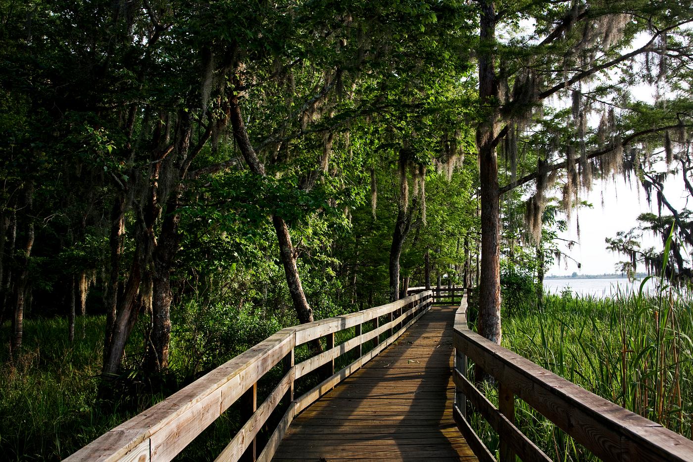 Historic Blakeley State Park located on the Tensaw River is very lush in the summertime. Original image from Carol M.... Historic Blakeley State Park located on the Tensaw River is very lush in the summertime. Original image from Carol M....
