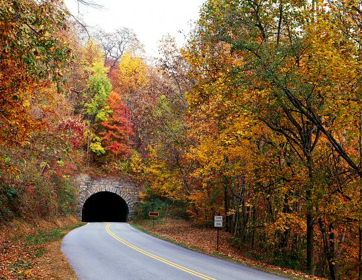 Tunnel on North Carolina's Blue Ridge Parkway. Original image from Carol M. Highsmith’s America, Library of Congress collection. Digitally enhanced by rawpixel. Tunnel on North Carolina's Blue Ridge Parkway. Original image from Carol M. Highsmith’s America, Library of Congress…