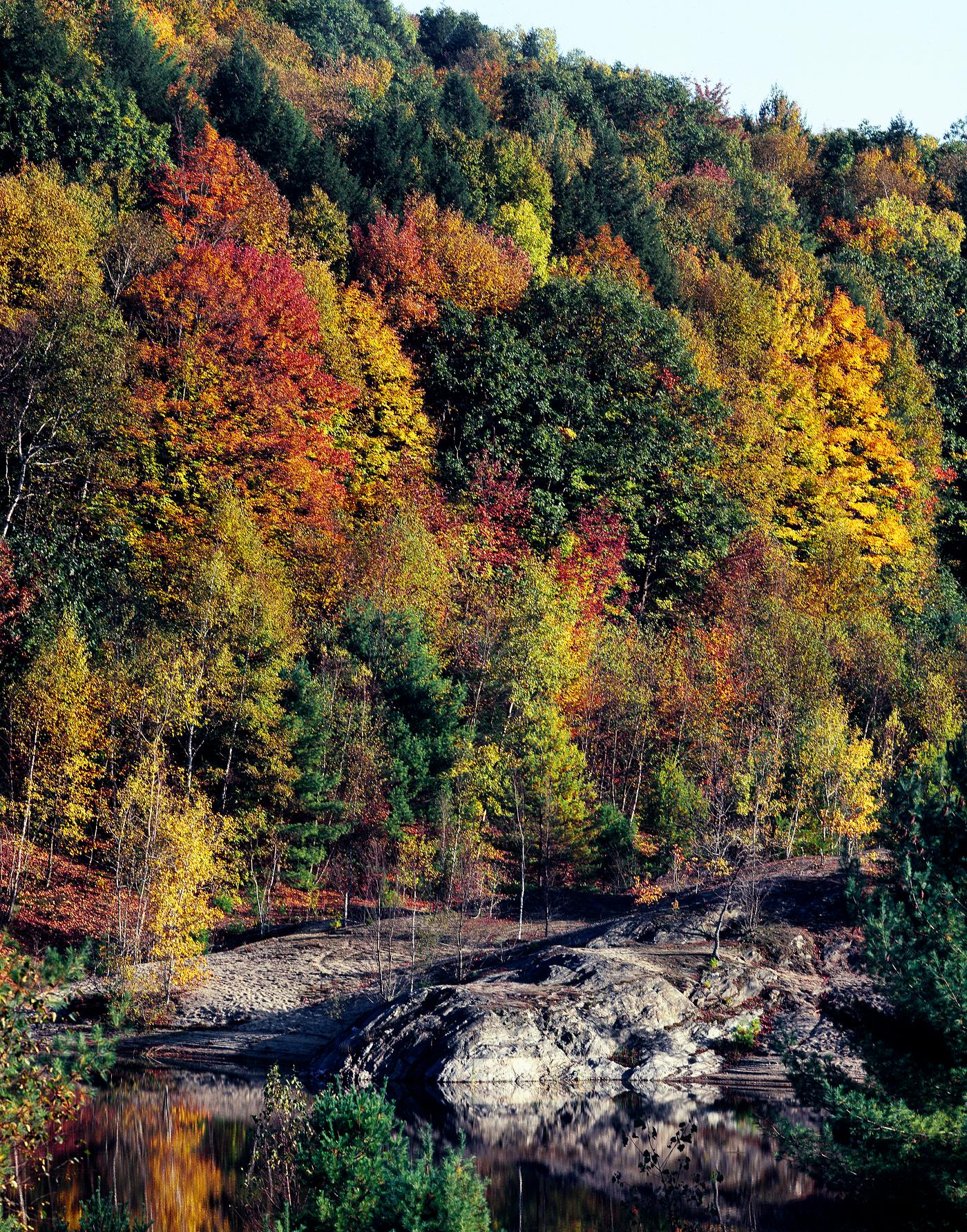 Fall Scene in Vermont. Original image from Carol M. Highsmith’s America, Library of Congress collection. Digitally... Fall Scene in Vermont. Original image from Carol M. Highsmith’s America, Library of Congress collection. Digitally...
