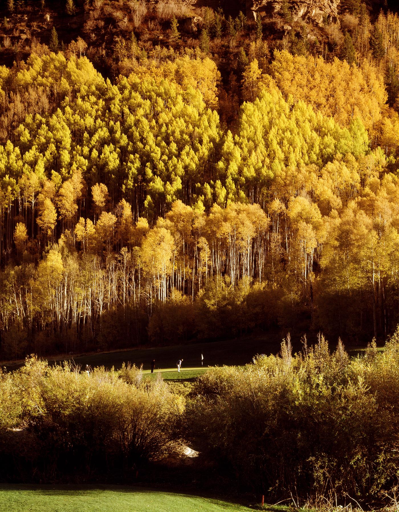 Aspens Over Vail, Colorado USA - Original image from Carol M. Highsmith’s America, Library of Congress collection.... Aspens Over Vail, Colorado USA - Original image from Carol M. Highsmith’s America, Library of Congress collection....
