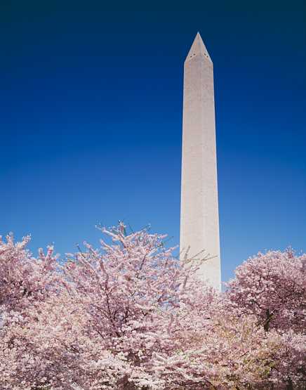 The Washington Monument in Washington, D.C. Original image from Carol M. Highsmith’s America, Library of Congress collection. Digitally enhanced by rawpixel. The Washington Monument in Washington, D.C. Original image from Carol M. Highsmith’s America, Library of Congress…
