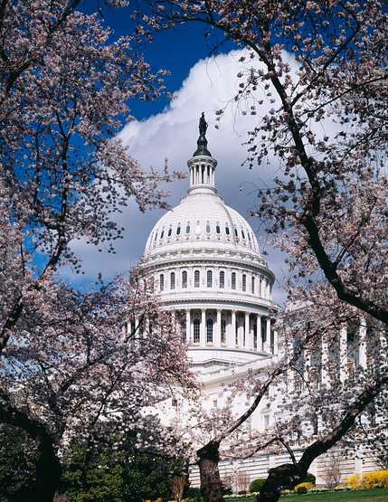 U.S. Capitol, Washington D.C. Original image from Carol M. Highsmith’s America, Library of Congress collection. Digitally enhanced by rawpixel. U.S. Capitol, Washington D.C. Original image from Carol M. Highsmith’s America, Library of Congress collection.…