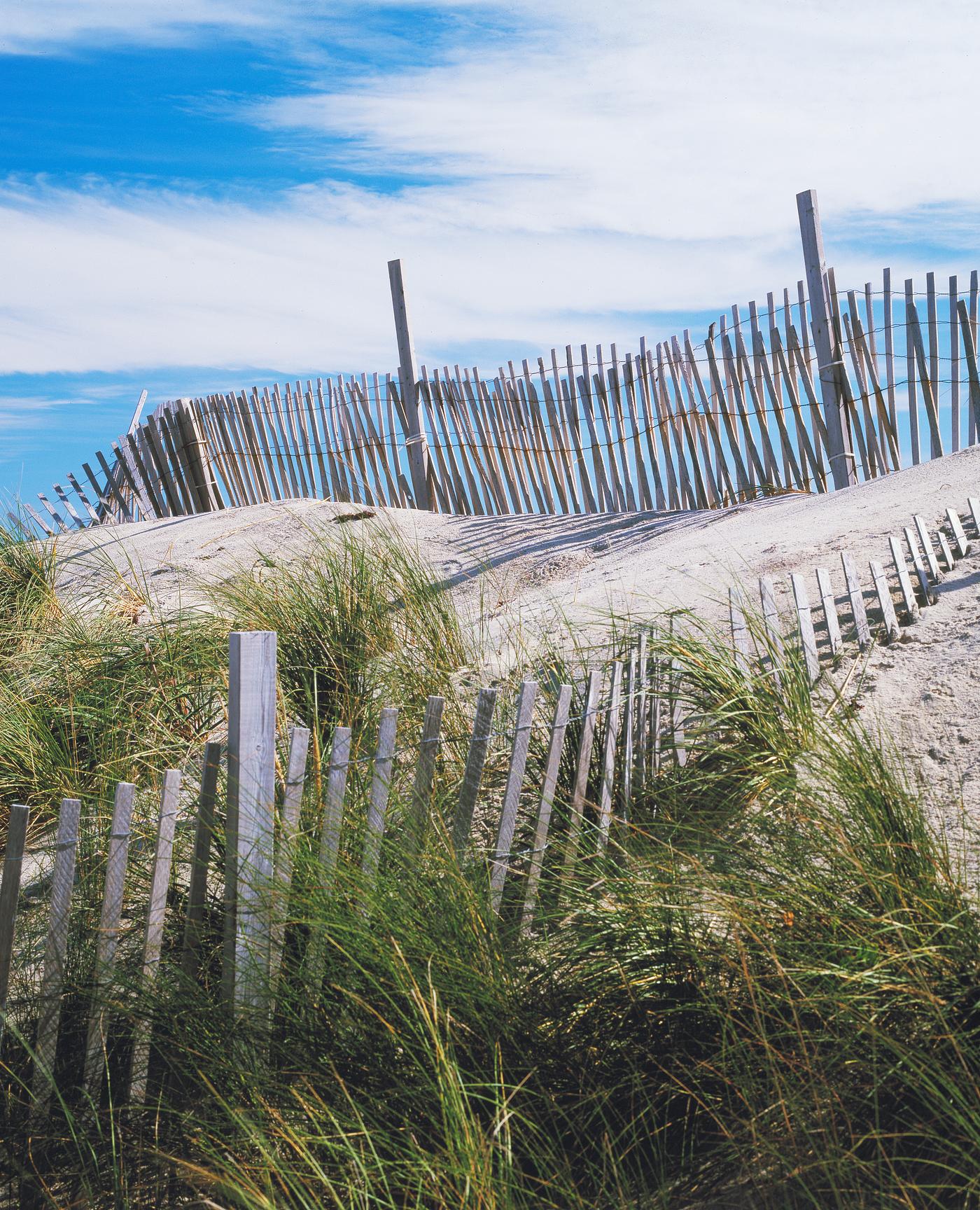 Dunes and Fence, Cape Hatteras, North Carolina. Original image from Carol M. Highsmith’s America, Library of Congress... Dunes and Fence, Cape Hatteras, North Carolina. Original image from Carol M. Highsmith’s America, Library of Congress...