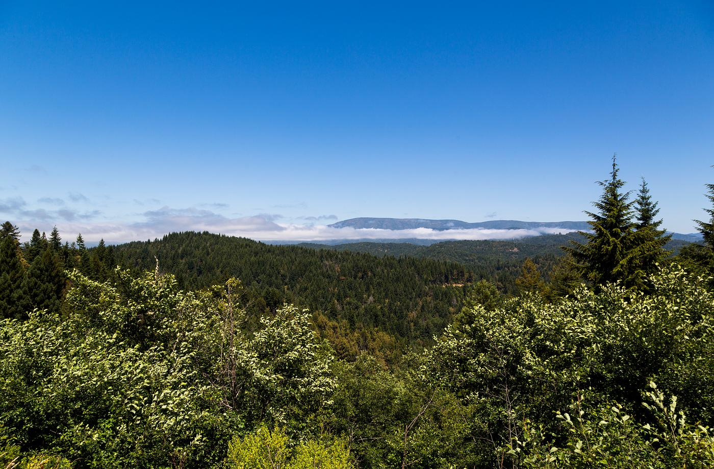 The Redwood National and State Parks along the coast of northern California. Original image from Carol M. Highsmith’s... The Redwood National and State Parks along the coast of northern California. Original image from Carol M. Highsmith’s...