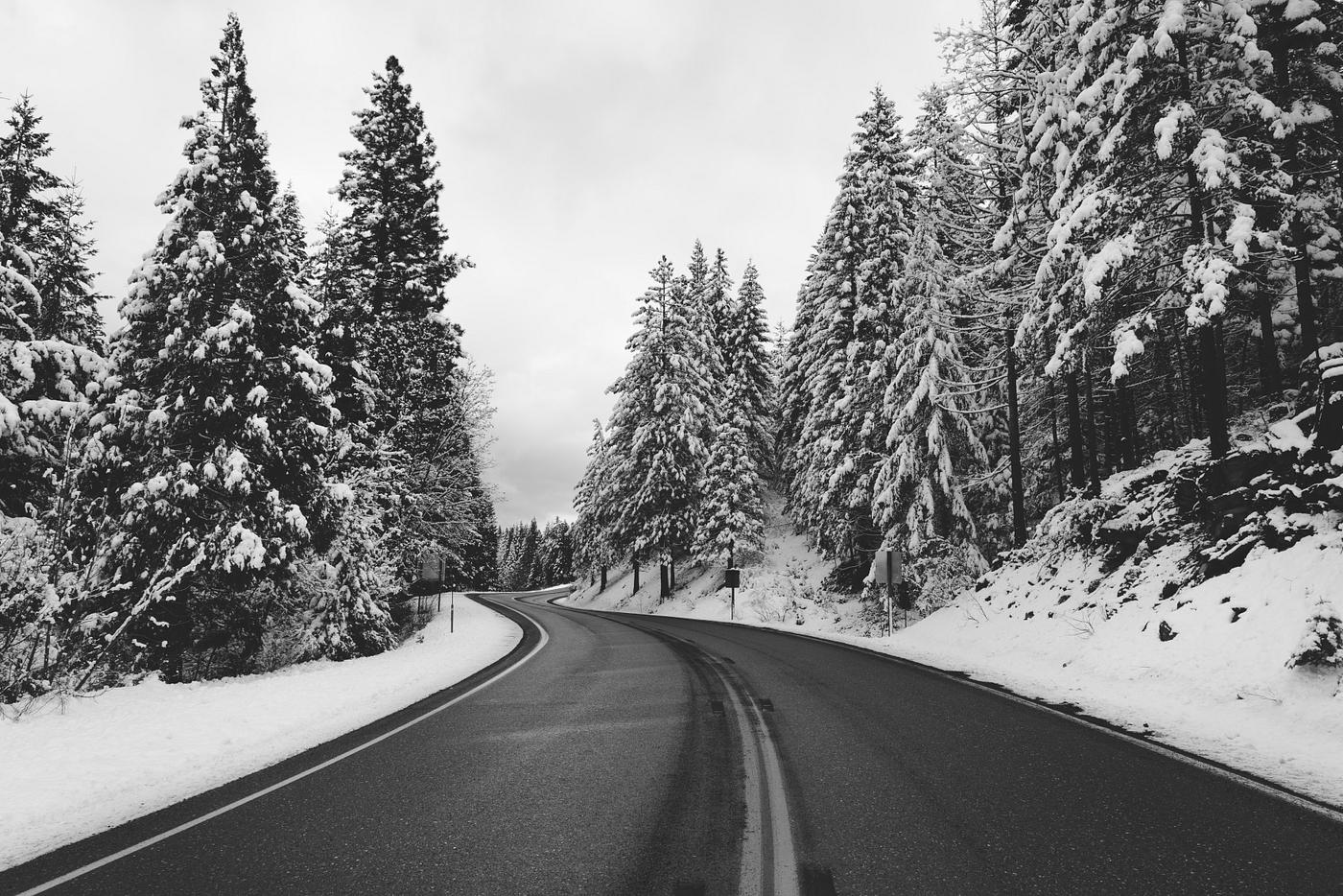 A living sno-globe scene and winter wonderland, created by a sudden mountain blizzard along California Highway 36. Original... A living sno-globe scene and winter wonderland, created by a sudden mountain blizzard along California Highway 36. Original...