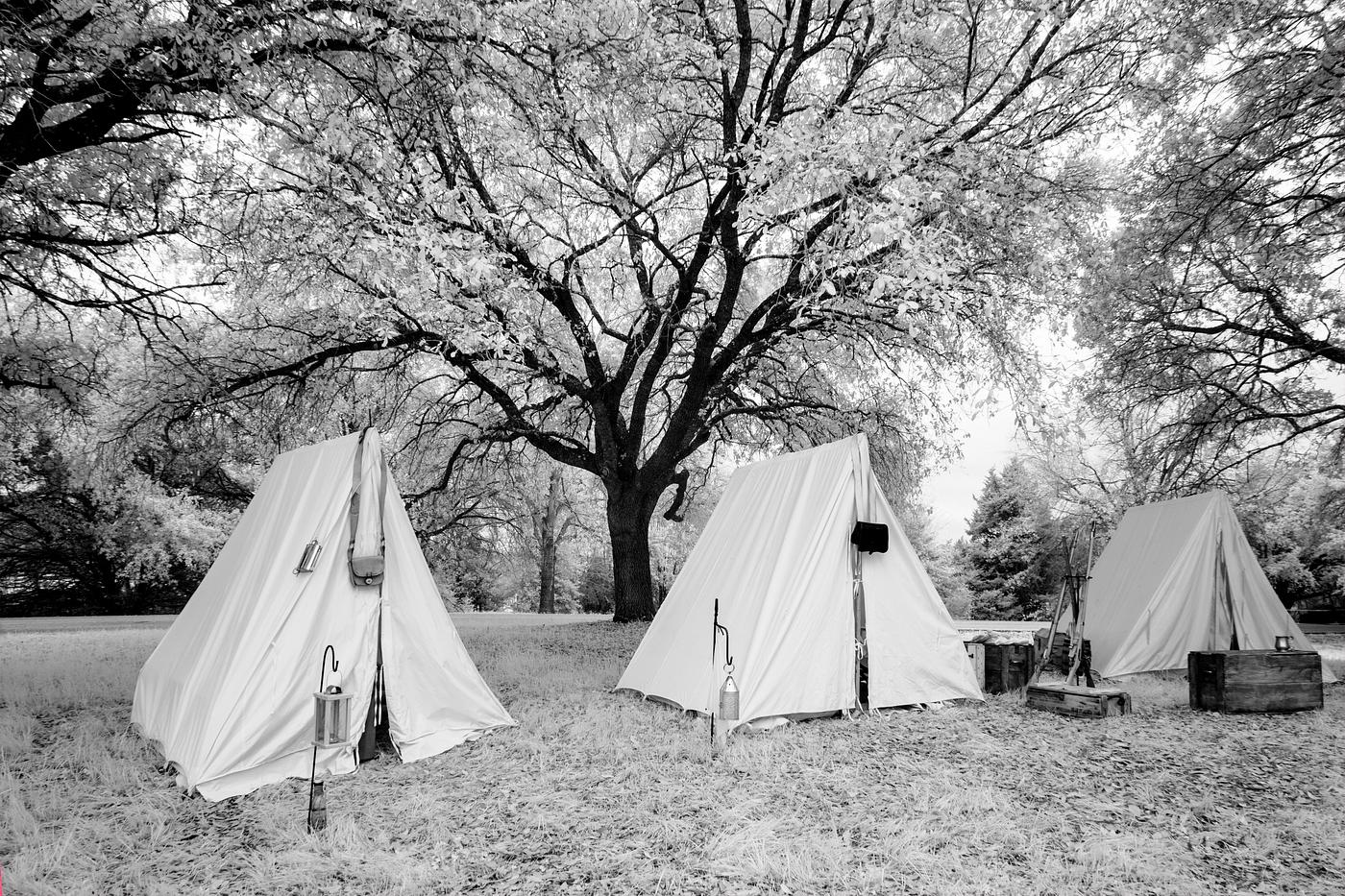 Texas Independence Day reenactment in Washington-on-the-Brazos, Texas State. Original image from Carol M. Highsmith’s... Texas Independence Day reenactment in Washington-on-the-Brazos, Texas State. Original image from Carol M. Highsmith’s...