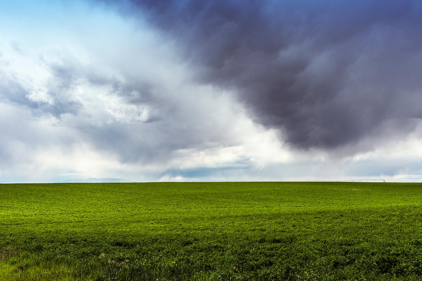 Lush fields under threatening skies in Montezuma County, Colorado, USA - Original image from Carol M. Highsmith’s... Lush fields under threatening skies in Montezuma County, Colorado, USA - Original image from Carol M. Highsmith’s...