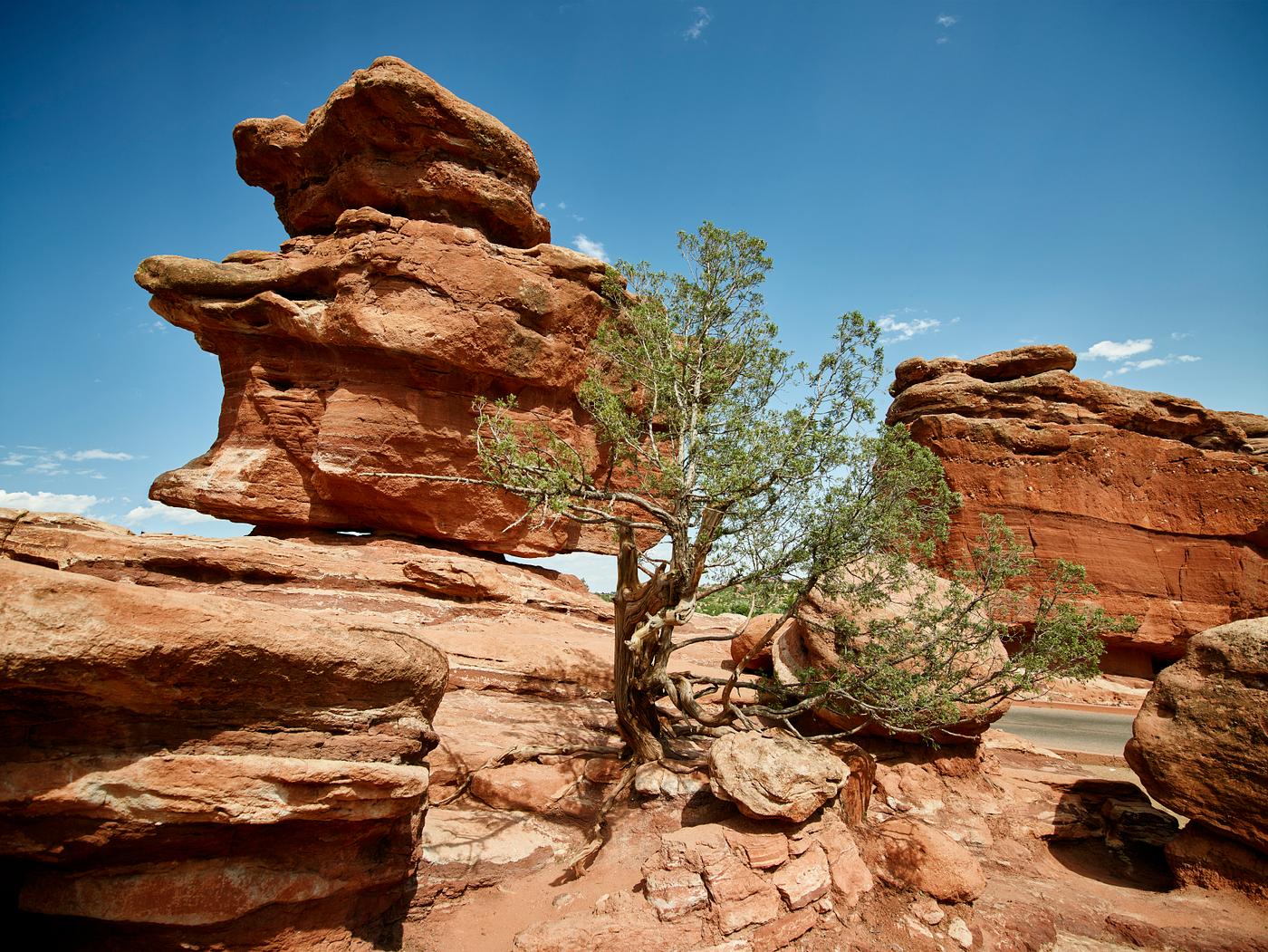 The Garden of the Gods, a public park in Colorado Springs, Colorado USA - Original image from Carol M. Highsmith’s... The Garden of the Gods, a public park in Colorado Springs, Colorado USA - Original image from Carol M. Highsmith’s...
