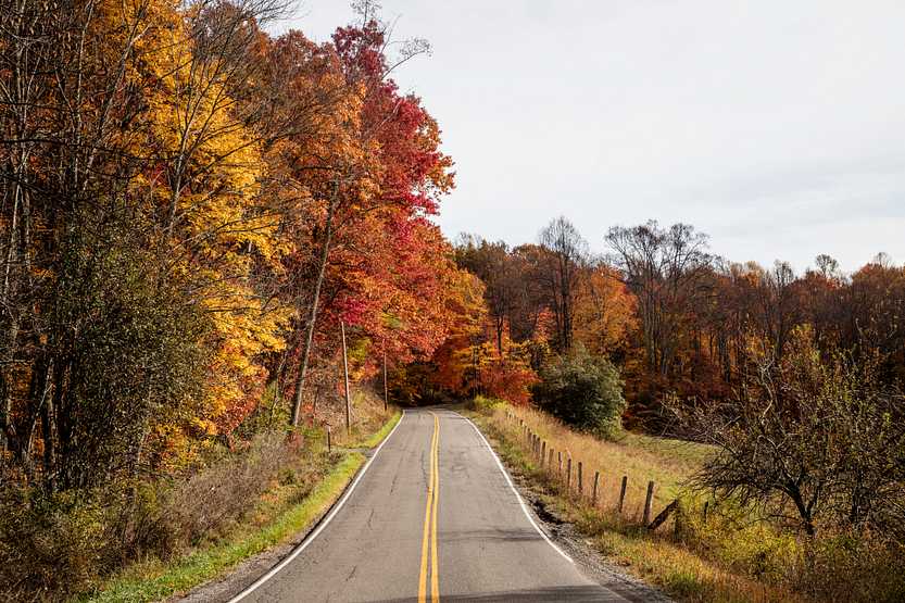 Fall scene in Upshur County, West Virginia. Original image from Carol M. Highsmith’s America, Library of Congress collection. Digitally enhanced by rawpixel. Fall scene in Upshur County, West Virginia. Original image from Carol M. Highsmith’s America, Library of Congress…