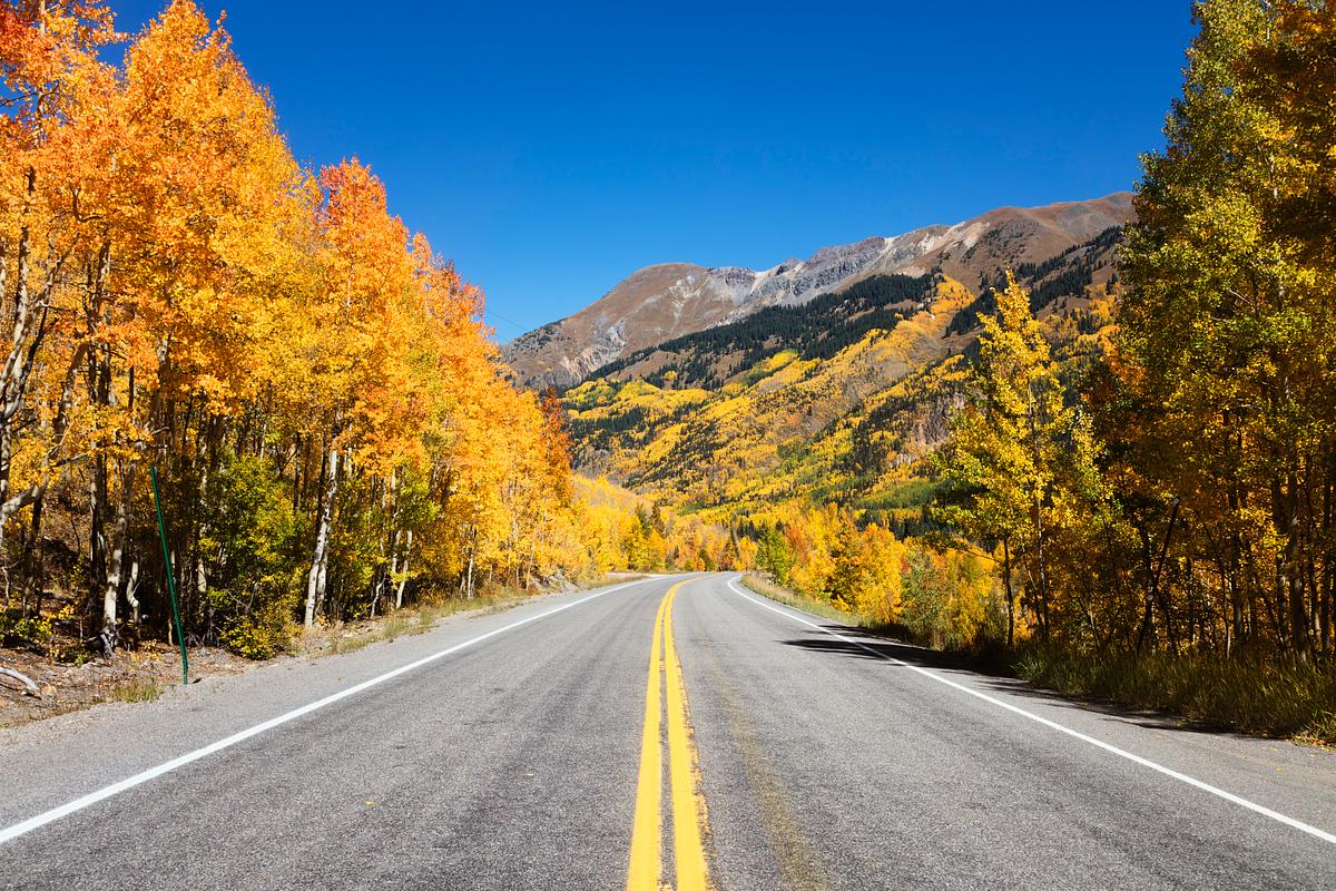 Fall aspens in San Juan County, Colorado USA … | Free public domain photo Fall aspens in San Juan County, Colorado USA - Original image from Carol M. Highsmith’s America, Library of Congress…