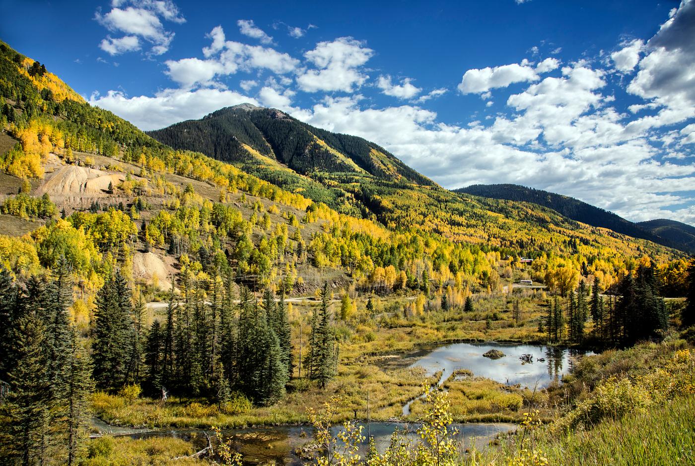 Fall aspens in San Juan County, Colorado USA - Original image from Carol M. Highsmith’s America, Library of Congress... Fall aspens in San Juan County, Colorado USA - Original image from Carol M. Highsmith’s America, Library of Congress...