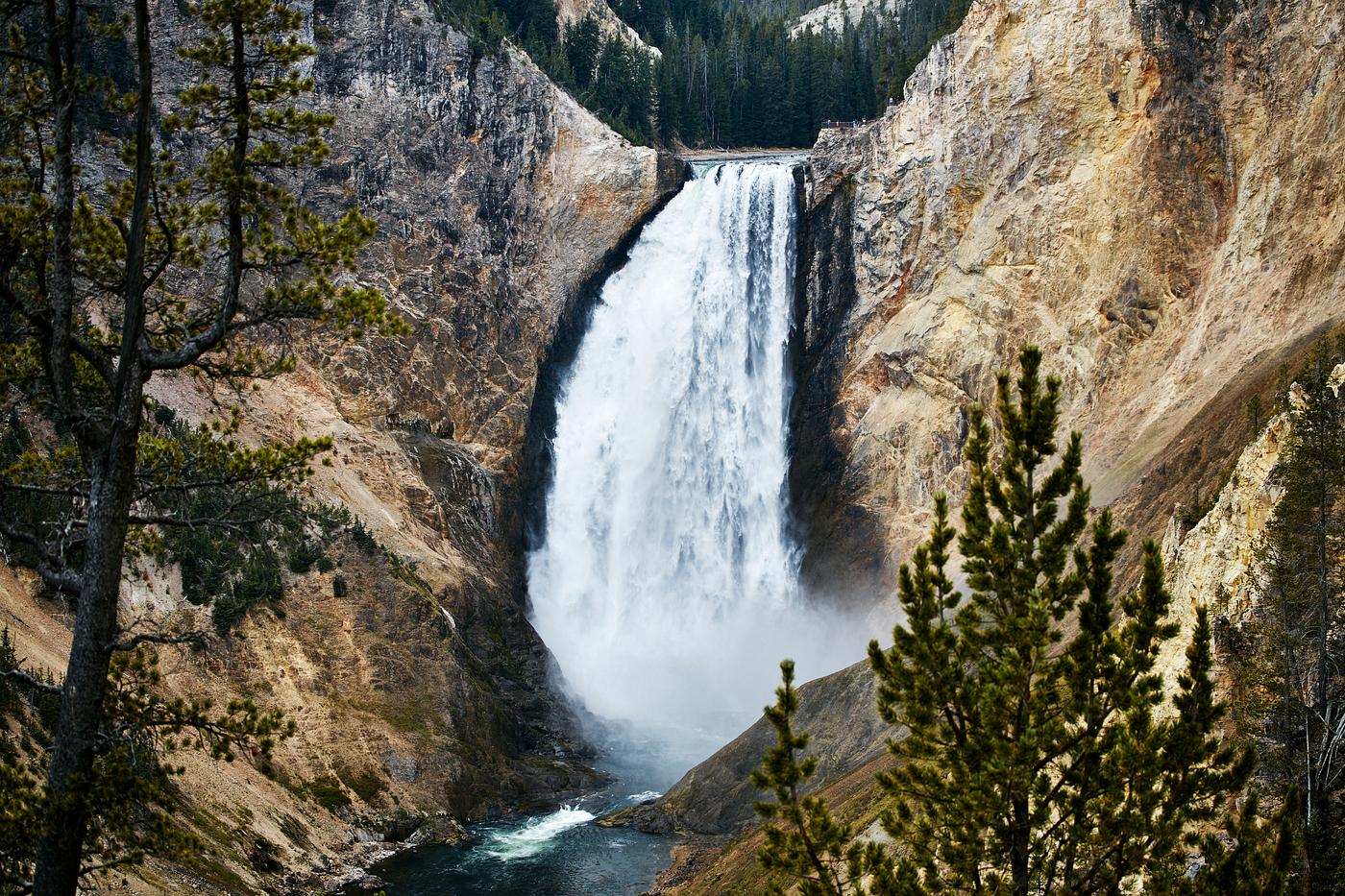 The Lower Falls of the Yellowstone River in northwestern Wyoming's Yellowstone National Park. Twice as high as Niagara... The Lower Falls of the Yellowstone River in northwestern Wyoming's Yellowstone National Park. Twice as high as Niagara...