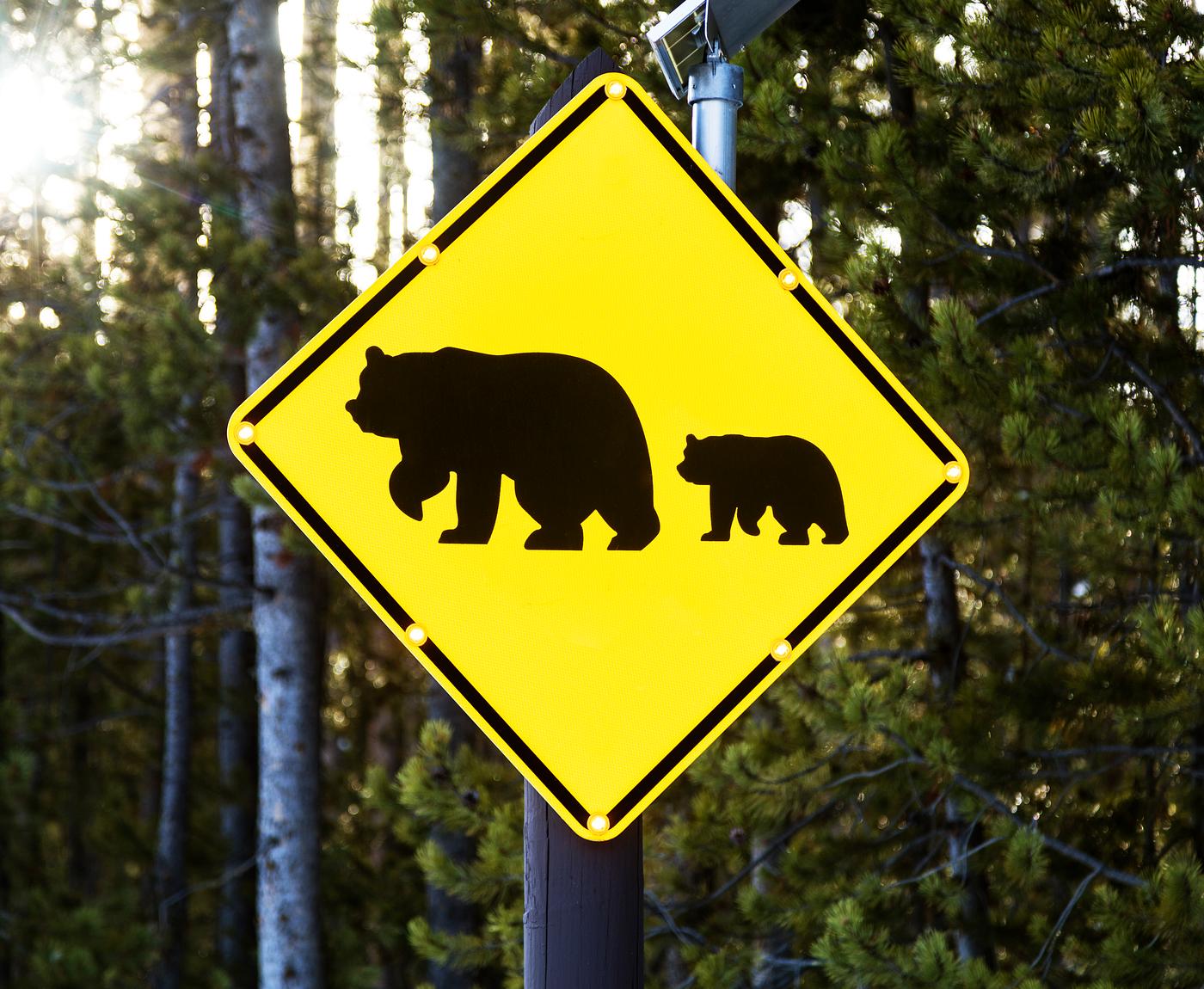 Buffalo-crossing sign in the vast Wyoming portion of Yellowstone National Park. Original image from Carol M. Highsmith... Buffalo-crossing sign in the vast Wyoming portion of Yellowstone National Park. Original image from Carol M. Highsmith...