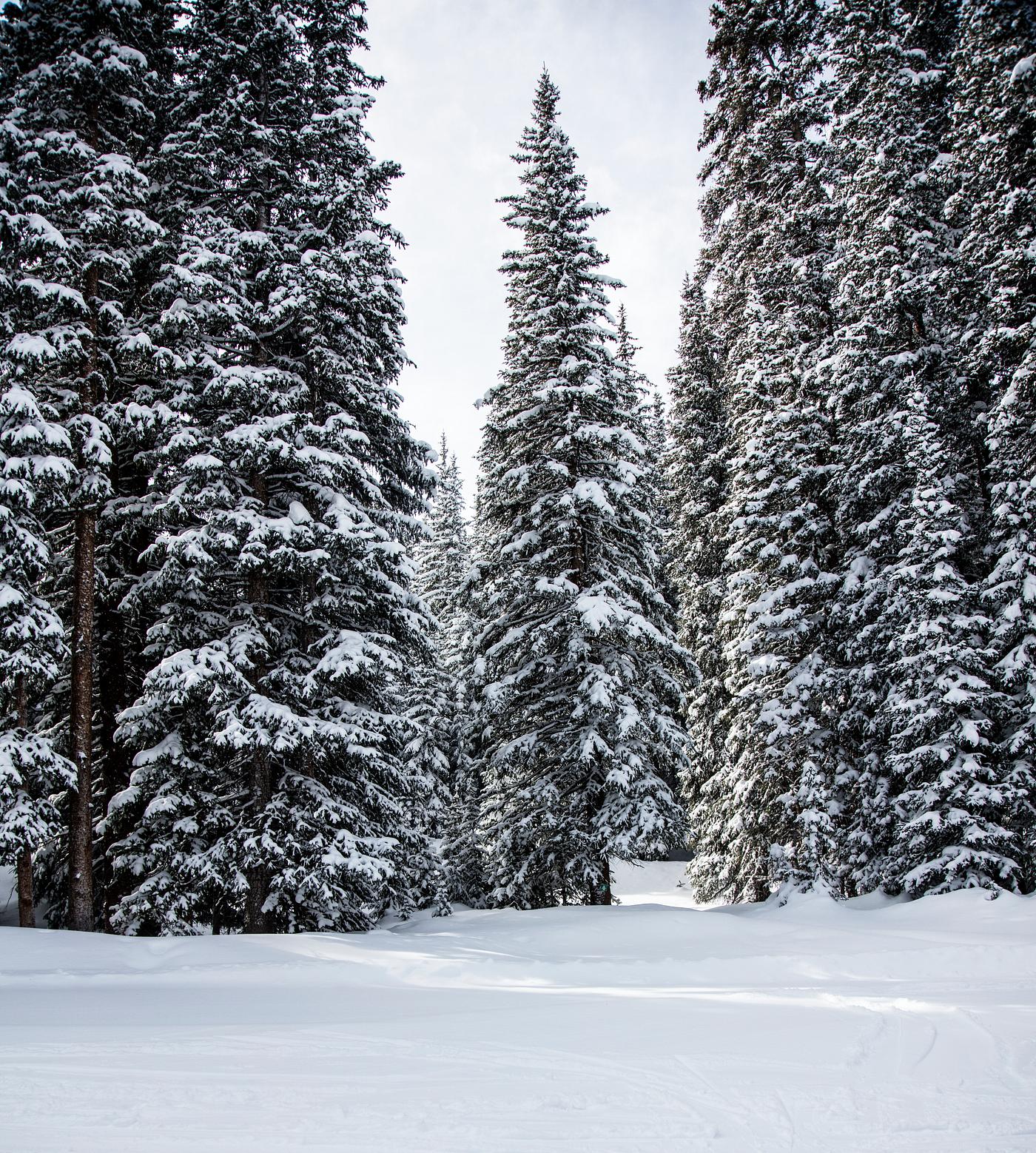 Copper Mountain Ski Resort, near the town of Frisco in Summit County, Colorado - Original image from Carol M. Highsmith... Copper Mountain Ski Resort, near the town of Frisco in Summit County, Colorado - Original image from Carol M. Highsmith...