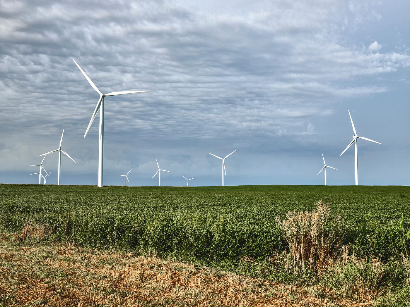 Wind turbines dominate the sky over the soybean fields of Franklin County, Iowa. Original image from Carol M. Highsmith... Wind turbines dominate the sky over the soybean fields of Franklin County, Iowa. Original image from Carol M. Highsmith...