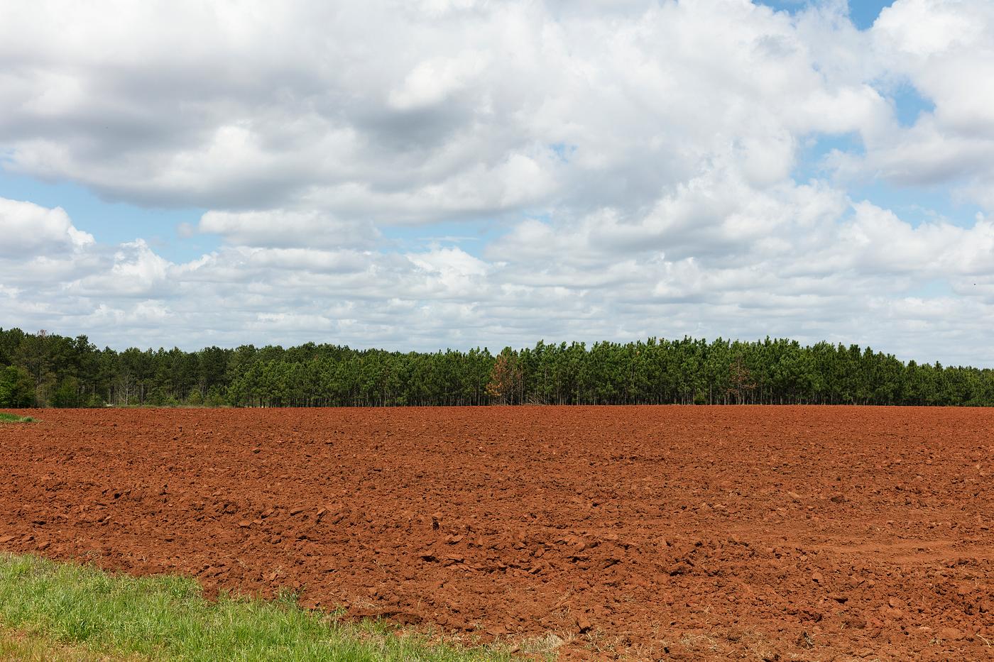 Field in Plains, Georgia. Original image from Carol M. Highsmith’s America, Library of Congress collection. Digitally... Field in Plains, Georgia. Original image from Carol M. Highsmith’s America, Library of Congress collection. Digitally...