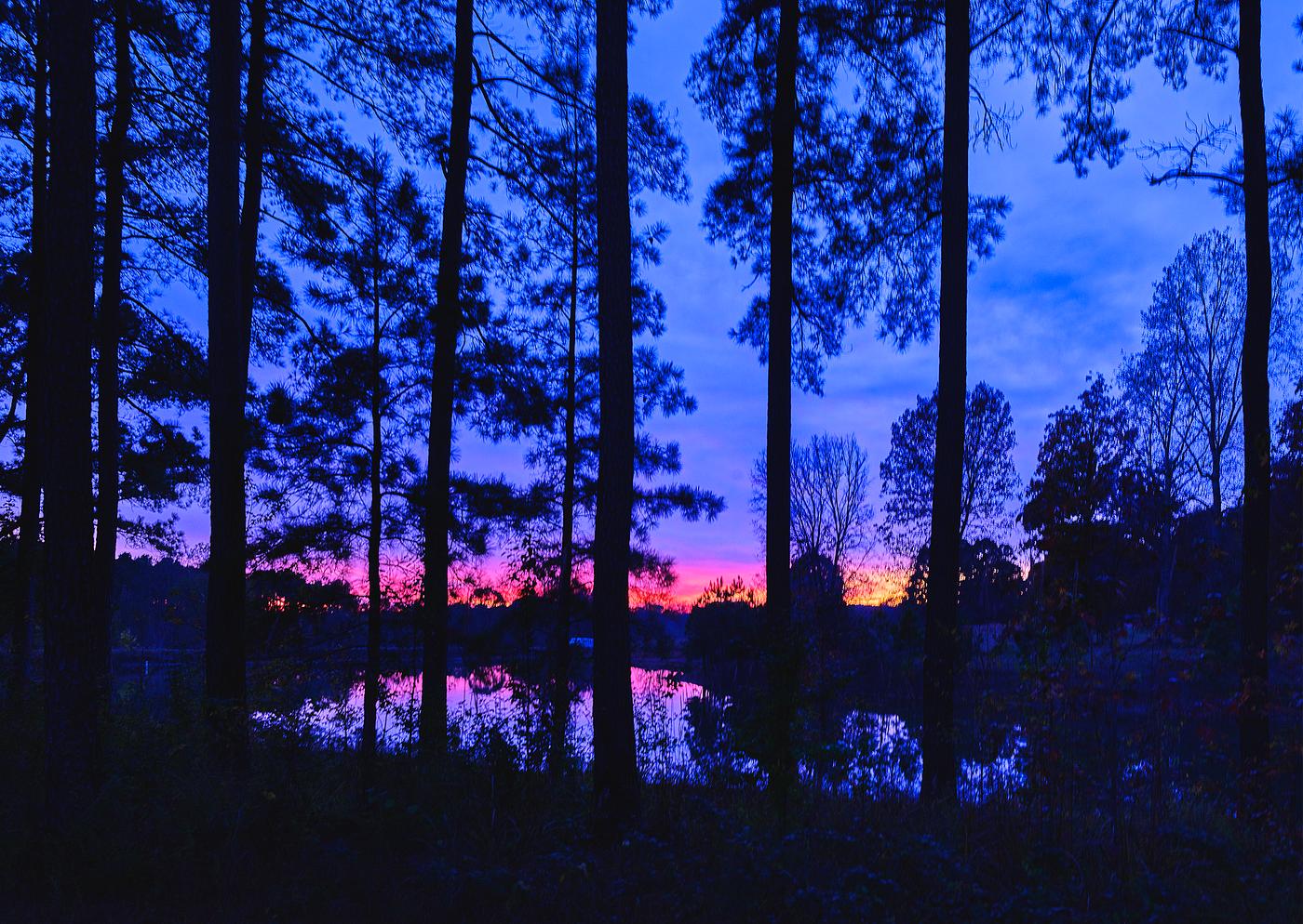 Sunset through the trees in Rougemont, near Durham, North Carolina. Old Mammoth Road. Original image from Carol M. Highsmith... Sunset through the trees in Rougemont, near Durham, North Carolina. Old Mammoth Road. Original image from Carol M. Highsmith...