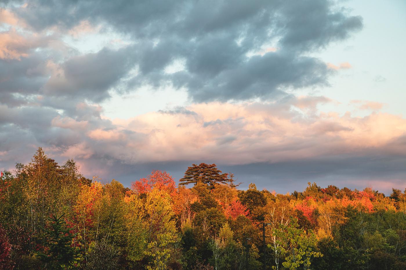 Fall scene near Veazie, Maine. Original image from Carol M. Highsmith’s America, Library of Congress collection.... Fall scene near Veazie, Maine. Original image from Carol M. Highsmith’s America, Library of Congress collection....