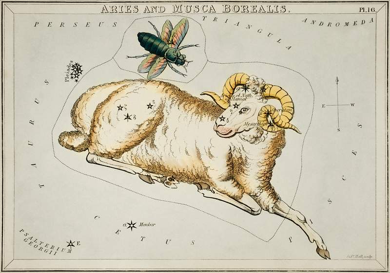 Free royalty image about Sidney Hall’s (1831) astronomical chart illustration of Aries and Musca Borealis. Original from Library of Congress.… Sidney Hall’s (1831) astronomical chart illustration of Aries and Musca Borealis. Original from Library of Congress.…