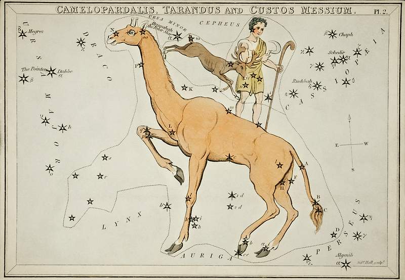 Sidney Hall’s (1831) astronomical chart… | Free public domain illustration Sidney Hall’s (1831) astronomical chart illustration of the Camelopardalis, Tarandus and the Custos Messium. Original…