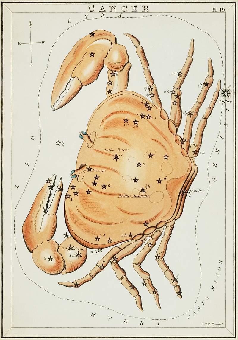 Sidney Hall’s (1831) astronomical chart… | Free public domain illustration Sidney Hall’s (1831) astronomical chart illustration of the zodiac Cancer. Original from Library of Congress. Digitally…