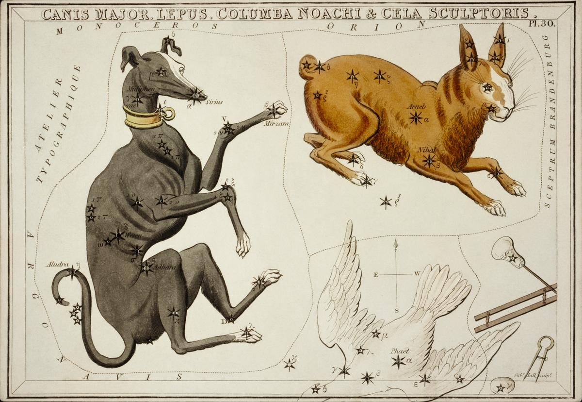 Sidney Hall’s (1831) astronomical chart… | Free public domain illustration Sidney Hall’s (1831) astronomical chart illustration of the Canis Major, Lepus, Columba Noachi and the Cela Sculptoris.…