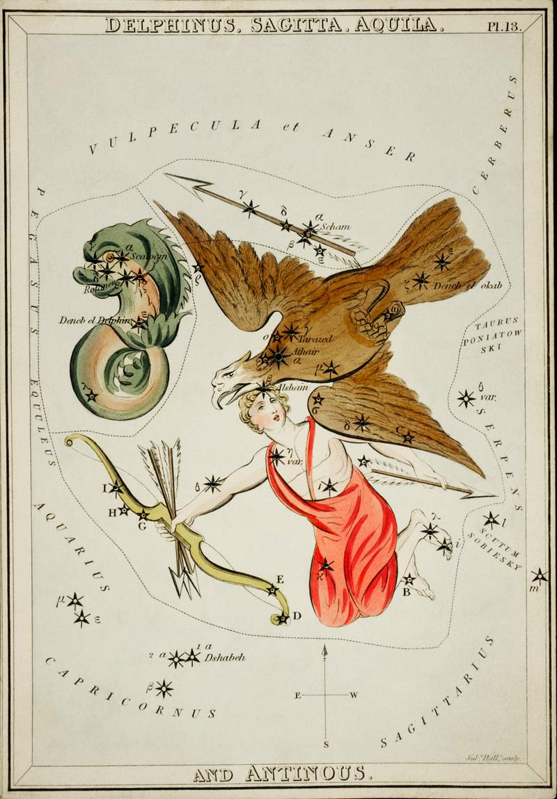 Sidney Hall’s (1831) astronomical chart… | Free public domain illustration Sidney Hall’s (1831) astronomical chart illustration of the Delphinus, Sagitta, Aquila, and the Antinous. Original from…