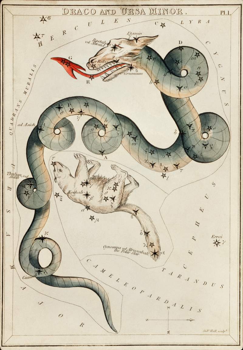 Sidney Hall’s (1831) astronomical chart… | Free public domain illustration Sidney Hall’s (1831) astronomical chart illustration of the Draco and the Ursa Minor. Original from Library of…