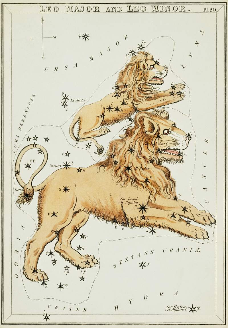 Sidney Hall’s (1831) astronomical chart… | Free public domain illustration Sidney Hall’s (1831) astronomical chart illustration of the Leo Major and the Leo Minor. Original from Library of…