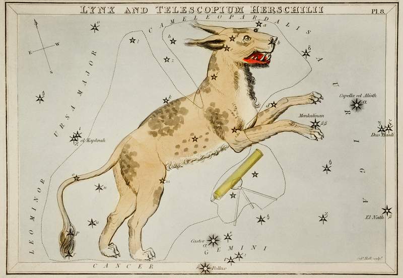 Sidney Hall’s (1831) astronomical chart… | Free public domain illustration Sidney Hall’s (1831) astronomical chart illustration of Lynx and the Telescopium Herschilii. Original from Library of…