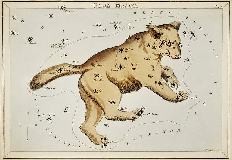 Sidney Hall’s (1831) astronomical chart… | Free public domain illustration Sidney Hall’s (1831) astronomical chart illustration of the Ursa Major. Original from Library of Congress. Digitally…