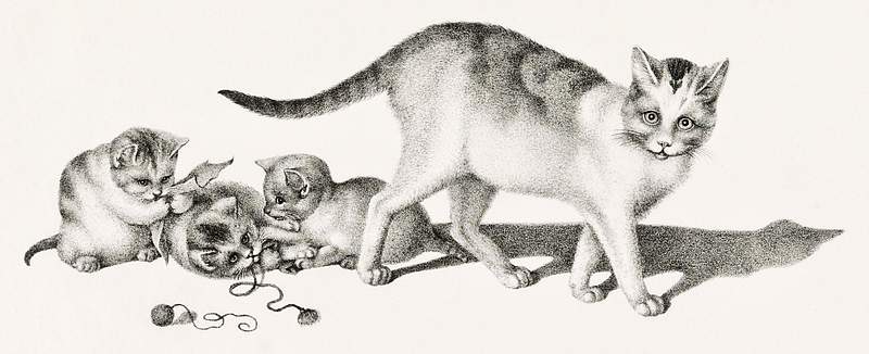 Free royalty image about Illustration of domestic cat and three playful kittens by Gottfried Mind (1768-1814). Original from Library of Congress.… Illustration of domestic cat and three playful kittens by Gottfried Mind (1768-1814). Original from Library of Congress.…