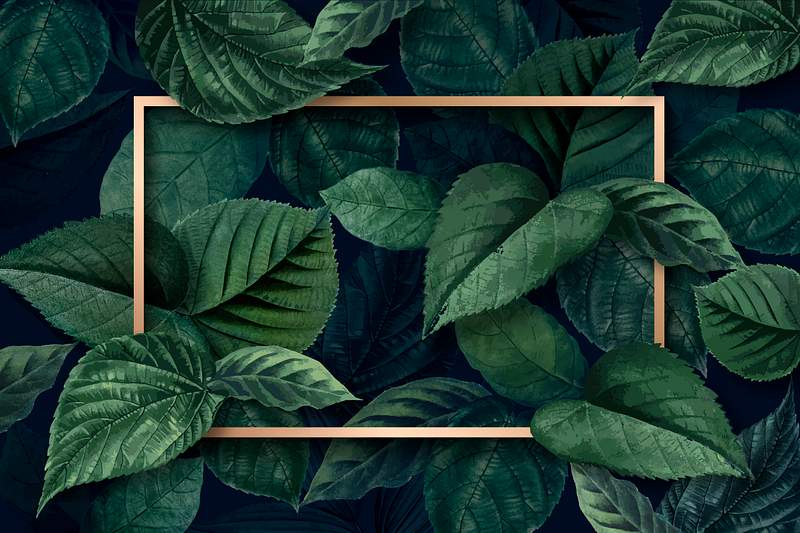 Forest leaf frame | Free stock vector | High Resolution design Gold rectangle frame on a metallic green leaves textured background vector