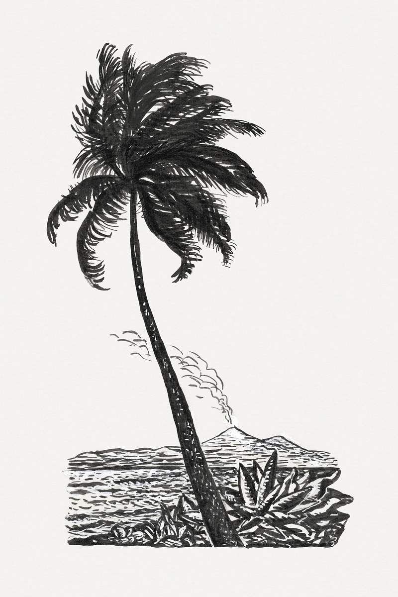 Palm tree with an island (ca. 1891–1941) drawing in high resolution by Leo Gestel. Original from The Rijksmuseum.…