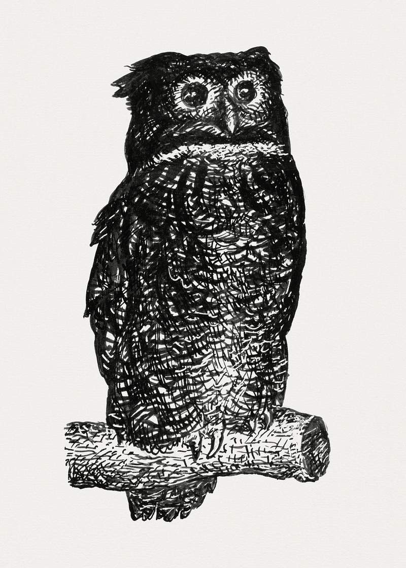 Owl (ca. 1891–1941) drawing in high resolution by Leo Gestel. Original from The Rijksmuseum. Digitally enhanced by…