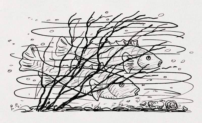 Two fish in the water (ca. 1891–1941) drawing in high resolution by Leo Gestel. Original from The Rijksmuseum.…