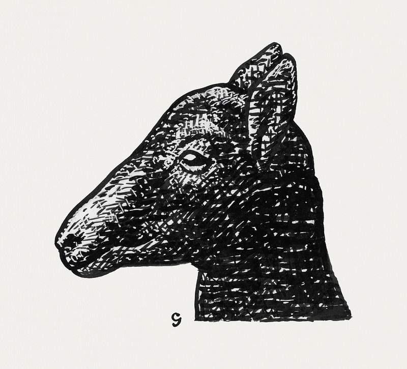 Head of a lamb (ca. 1891–1941) drawing in high resolution by Leo Gestel. Original from The Rijksmuseum. Digitally…