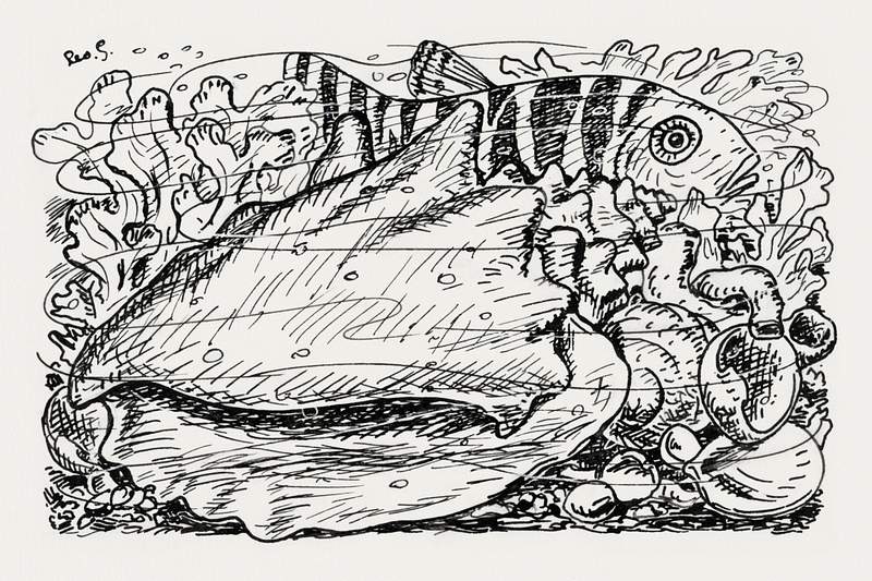 Fish and shell in the water (ca. 1891–1941) drawing in high resolution by Leo Gestel. Original from The Rijksmuseum.…