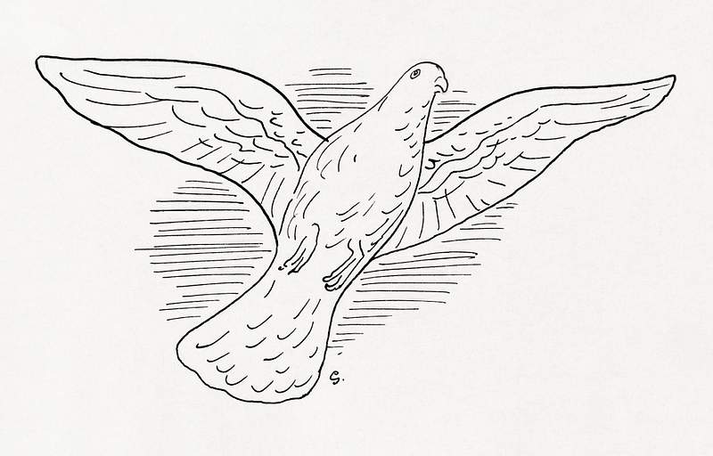Flying pigeon (ca. 1891–1941) drawing in high resolution by Leo Gestel. Original from The Rijksmuseum. Digitally…