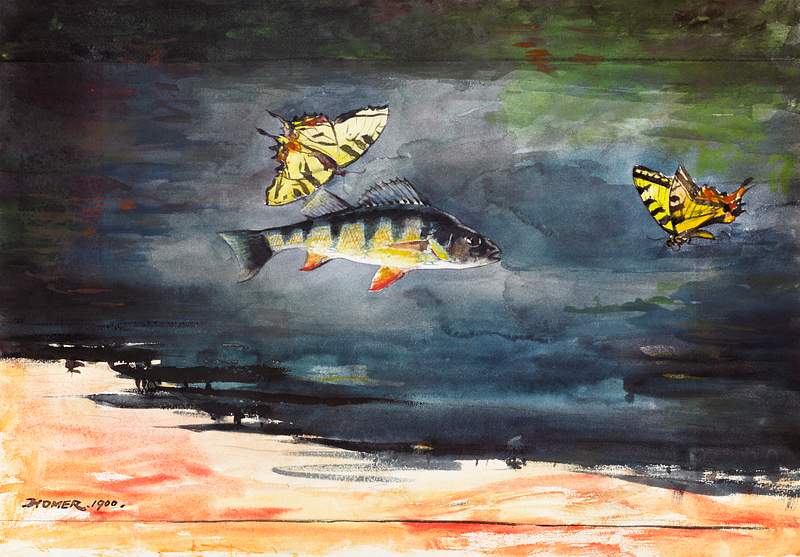 Fish and Butterflies (1900) by Winslow Homer. Original from The Clark Art Institute. Digitally enhanced by rawpixel.by…