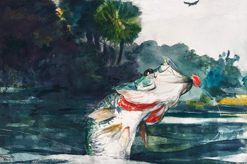 Life-Size Black Bass (1904) by Winslow Homer. Original from The Smithsonian Institution. Digitally enhanced by rawpixel.