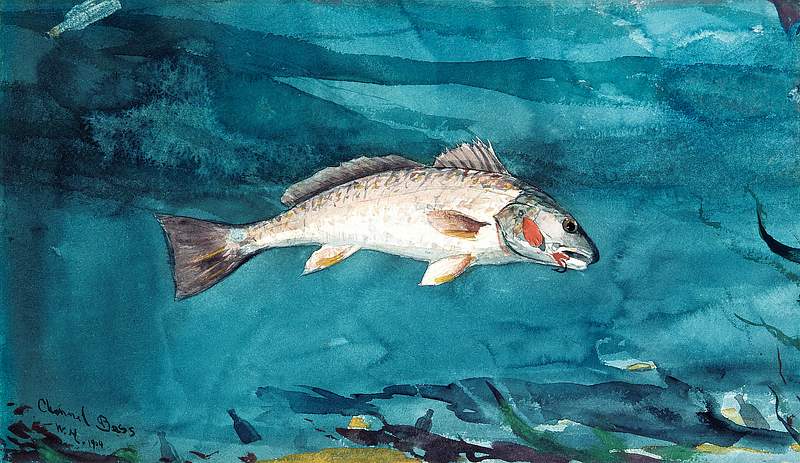 Channel Bass (1904) by Winslow Homer. Original from The MET museum. Digitally enhanced by rawpixel.