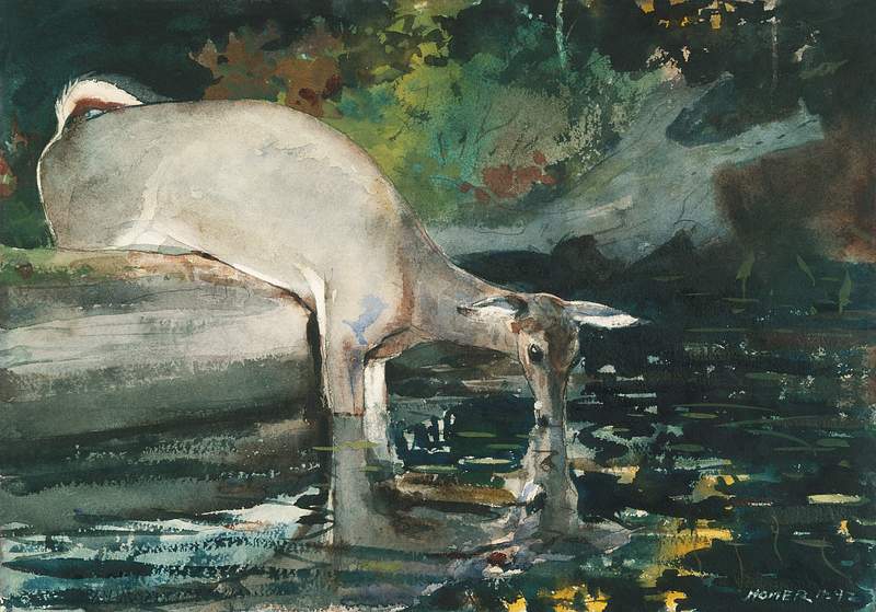 Deer Drinking (1892) by Winslow Homer. Original from Yale University Art Gallery. Digitally enhanced by rawpixel.