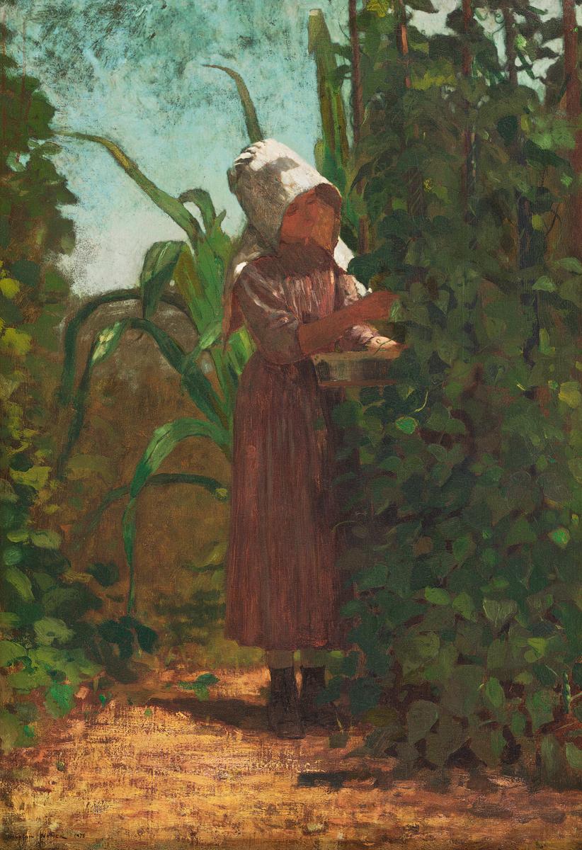 The Bean Picker (ca. 1875) by Winslow Homer.… | Free public domain illustration The Bean Picker (ca. 1875) by Winslow Homer. Original from The Smithsonian. Digitally enhanced by rawpixel.