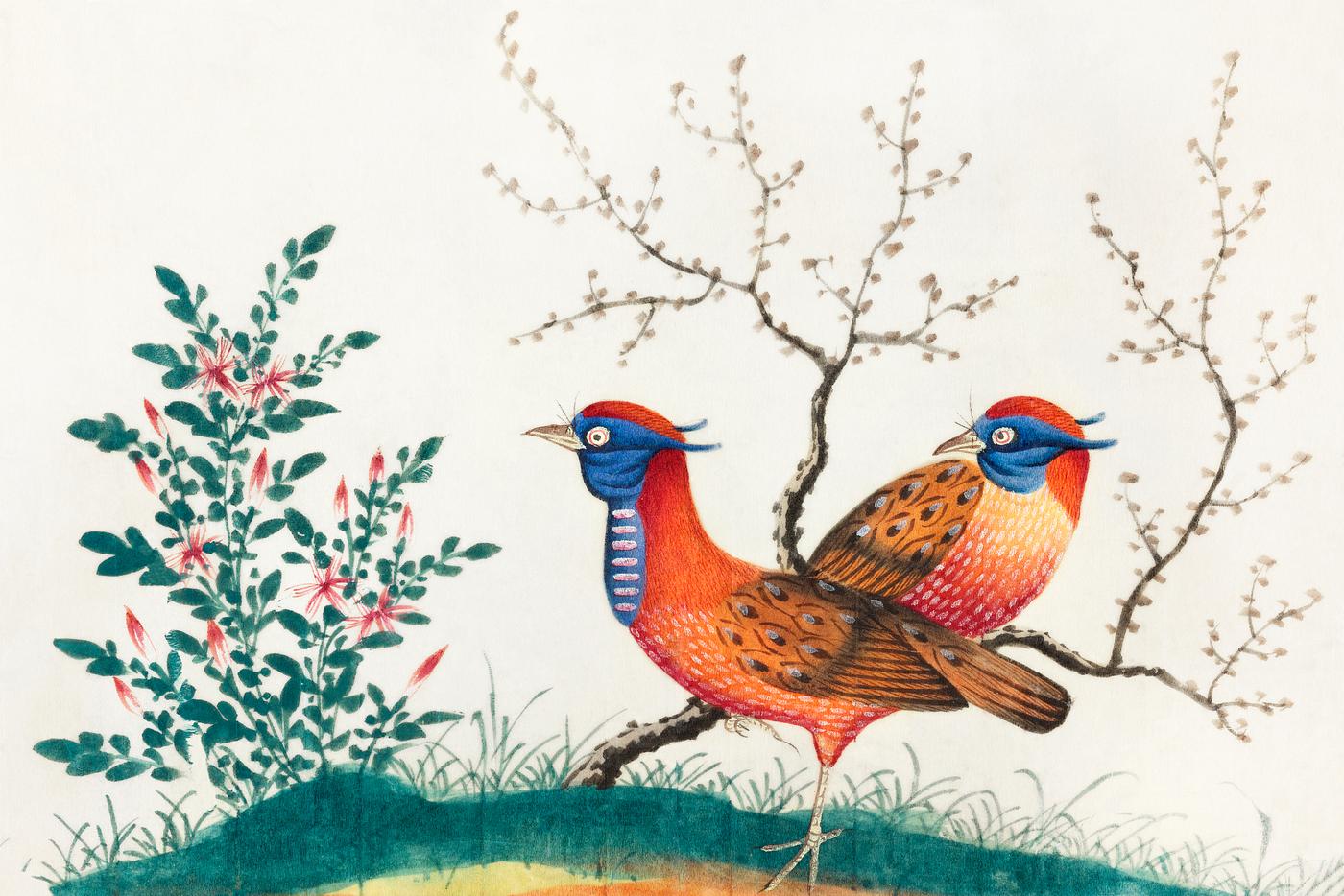 Chinese painting featuring two pheasant-like birds with flowering plants (ca.1800–1899) from the Miriam and Ira D.... Chinese painting featuring two pheasant-like birds with flowering plants (ca.1800–1899) from the Miriam and Ira D....