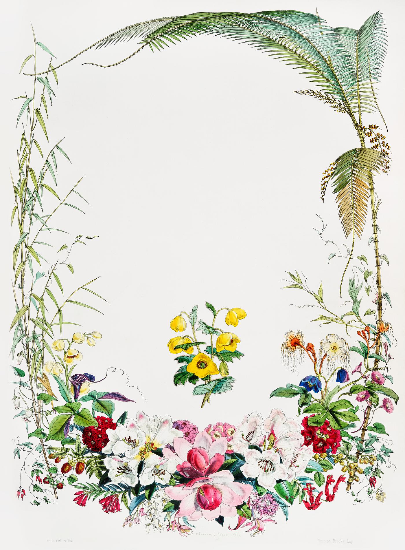 Title page from Illustrations of Himalayan plants (1855) by W. H. (Walter Hood) Fitch (1817-1892). Original from New York... Title page from Illustrations of Himalayan plants (1855) by W. H. (Walter Hood) Fitch (1817-1892). Original from New York...