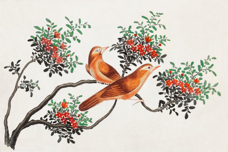 Chinese painting featuring birds of China (ca.1800–1899) from the Miriam and Ira D. Wallach Division of Art, Prints and Photographs: Art & Architecture Collection. Original from the New York Public Library. Digitally enhanced by rawpixel. Chinese painting featuring birds of China (ca.1800–1899) from the Miriam and Ira D. Wallach Division of Art, Prints and…