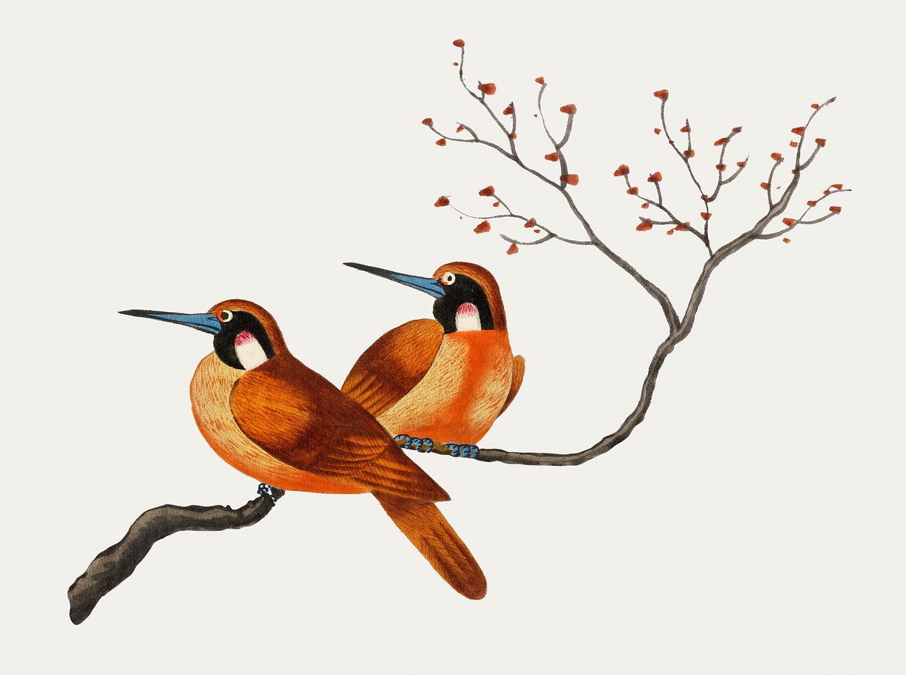Chinese Painting Featuring Two Birds On A Flowering Tree Branch