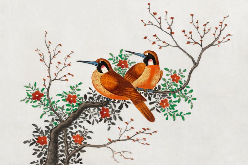 Chinese painting featuring two birds on a flowering tree branch (ca.1800–1899) from the Miriam and Ira D. Wallach Division of Art, Prints and Photographs: Art & Architecture Collection. Original from the New York Public Library. Digitally enhanced by rawpixel. Chinese painting featuring two birds on a flowering tree branch (ca.1800–1899) from the Miriam and Ira D. Wallach…